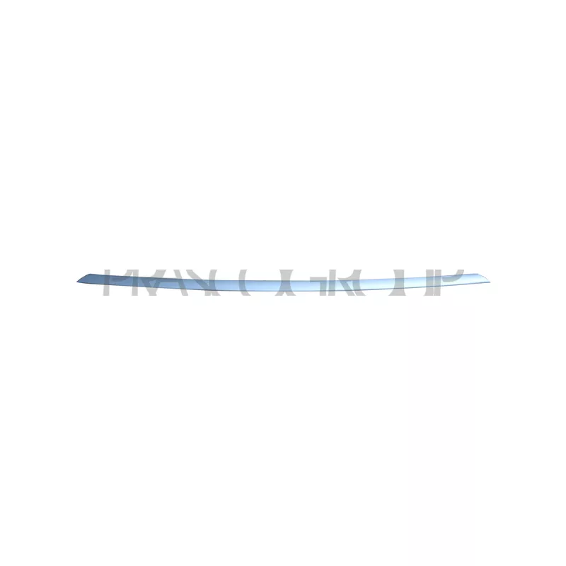 Baguette et bande protectrice, grille de radiateur PRASCO BM0281245