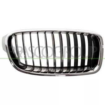 Grille de radiateur PRASCO BM0282003