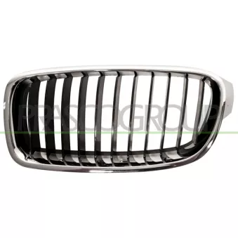 Grille de radiateur PRASCO BM0282004