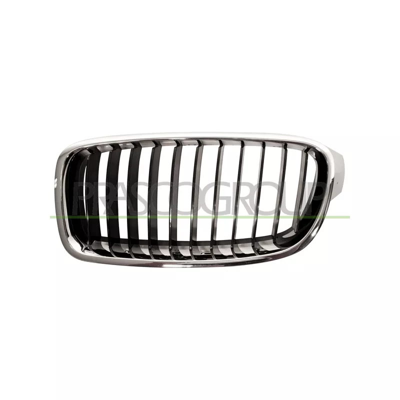 Grille de radiateur PRASCO BM0282004