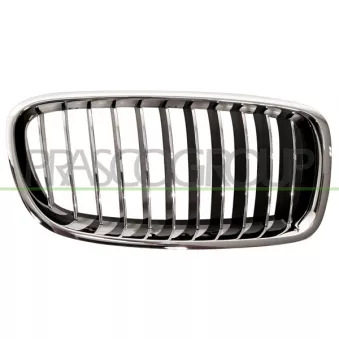Grille de radiateur PRASCO BM0282013