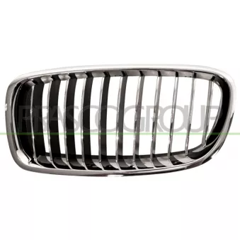 Grille de radiateur PRASCO BM0282014