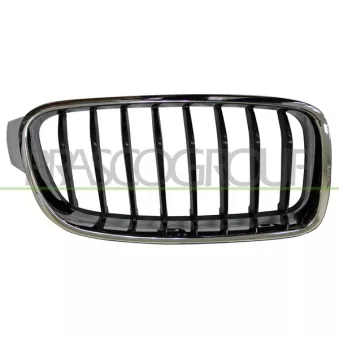 Grille de radiateur PRASCO BM0282023