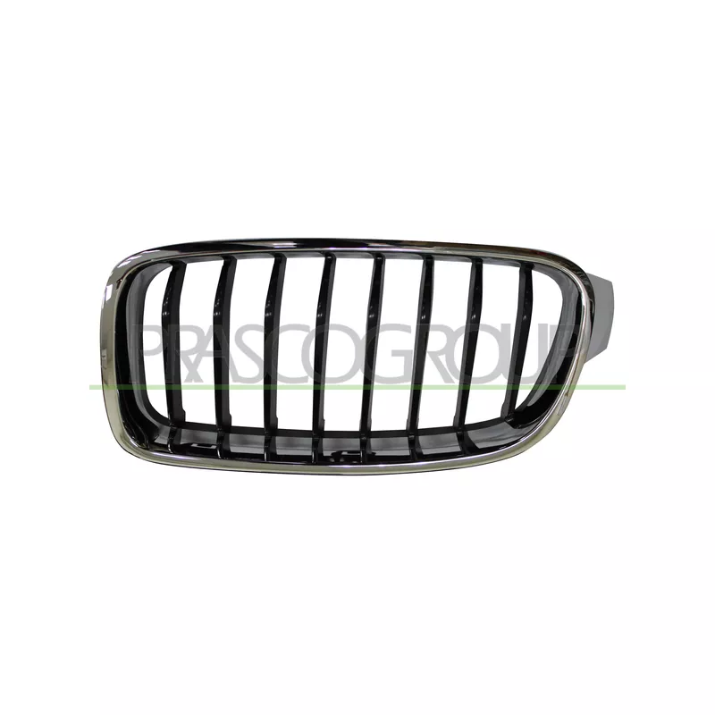 Grille de radiateur PRASCO BM0282024