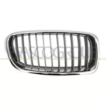 Grille de radiateur PRASCO BM0282033