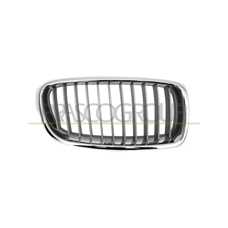 Grille de radiateur PRASCO BM0282033