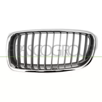 Grille de radiateur PRASCO BM0282034