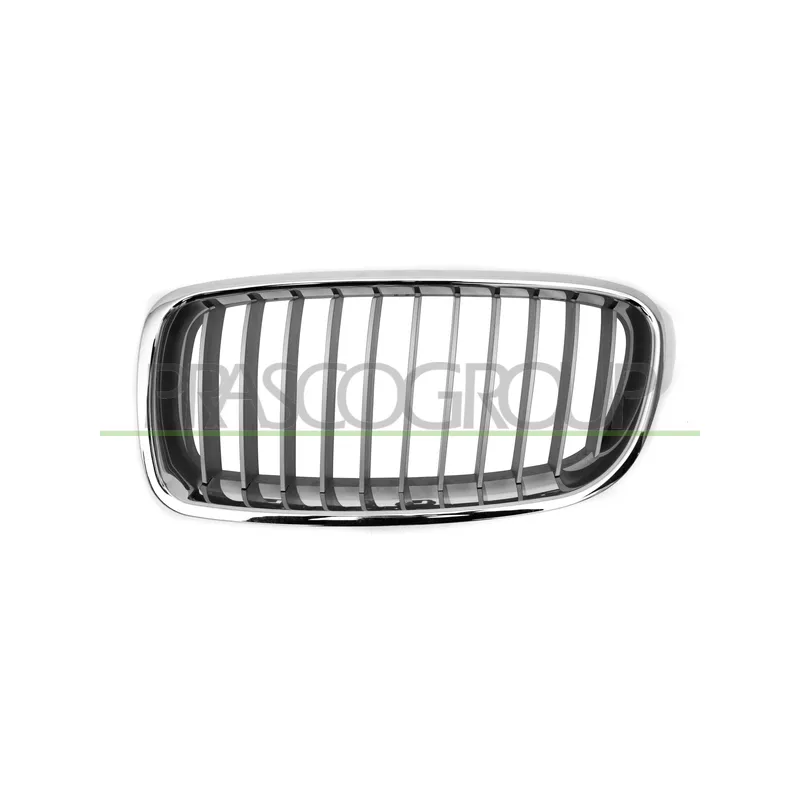 Grille de radiateur PRASCO BM0282034