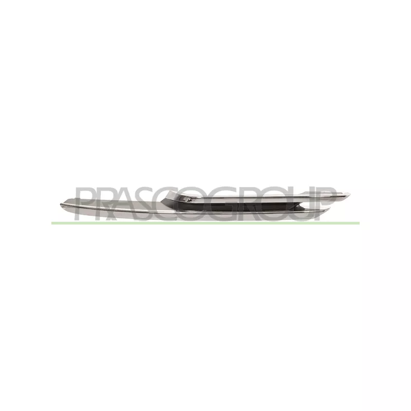 Baguette et bande protectrice, pare-chocs arrière gauche PRASCO BM0282144
