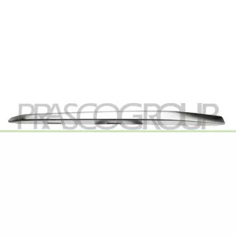 Baguette et bande protectrice, grille de radiateur PRASCO BM0311223