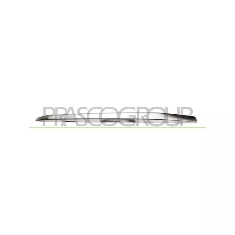 Baguette et bande protectrice, grille de radiateur PRASCO BM0311223