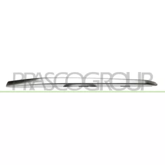 Baguette et bande protectrice, grille de radiateur PRASCO BM0311224