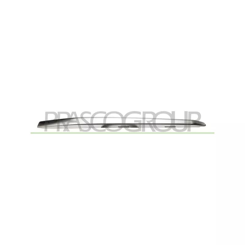 Baguette et bande protectrice, grille de radiateur PRASCO BM0311224