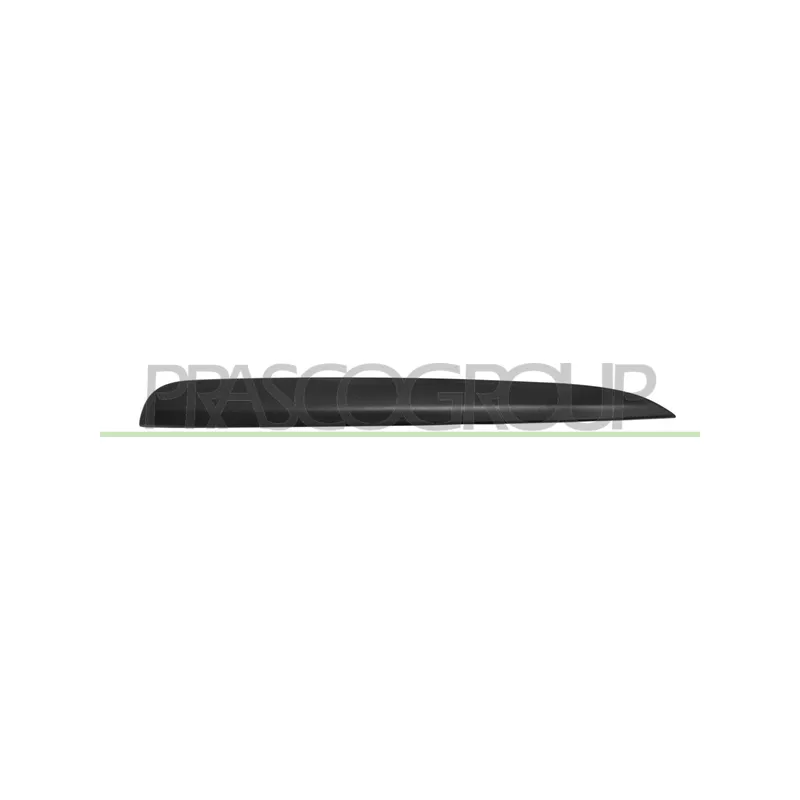Baguette et bande protectrice, grille de radiateur PRASCO BM0311233