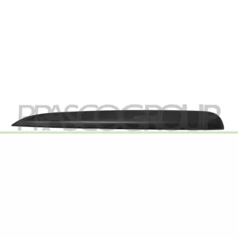 Baguette et bande protectrice, grille de radiateur PRASCO BM0311234