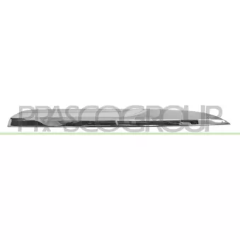 Baguette et bande protectrice, grille de radiateur PRASCO BM0311243