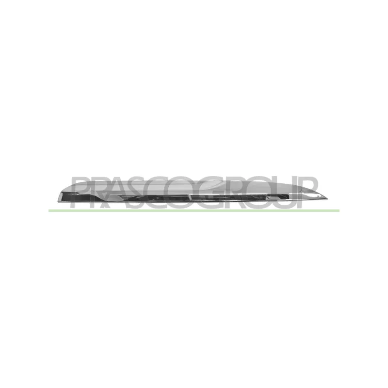 Baguette et bande protectrice, grille de radiateur PRASCO BM0311243