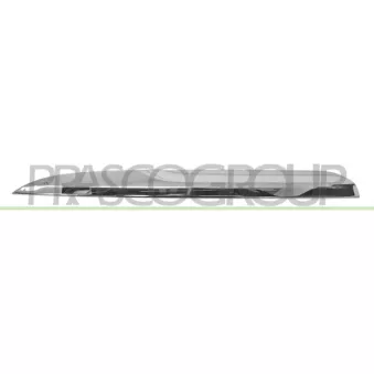 Baguette et bande protectrice, grille de radiateur PRASCO BM0311244