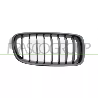 Grille de radiateur avant droit PRASCO