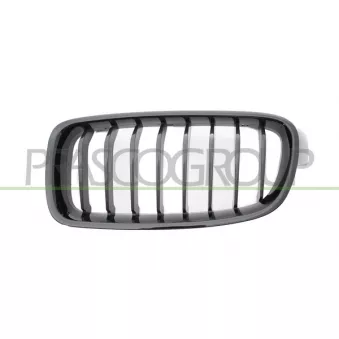 Grille de radiateur avant gauche PRASCO BM0322014