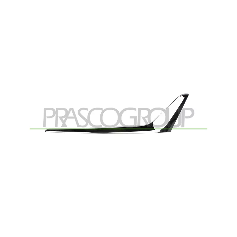 Baguette et bande protectrice, pare-chocs arrière droit PRASCO BM0341253