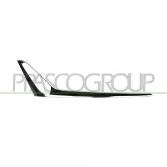 Baguette et bande protectrice, pare-chocs arrière gauche PRASCO BM0341254