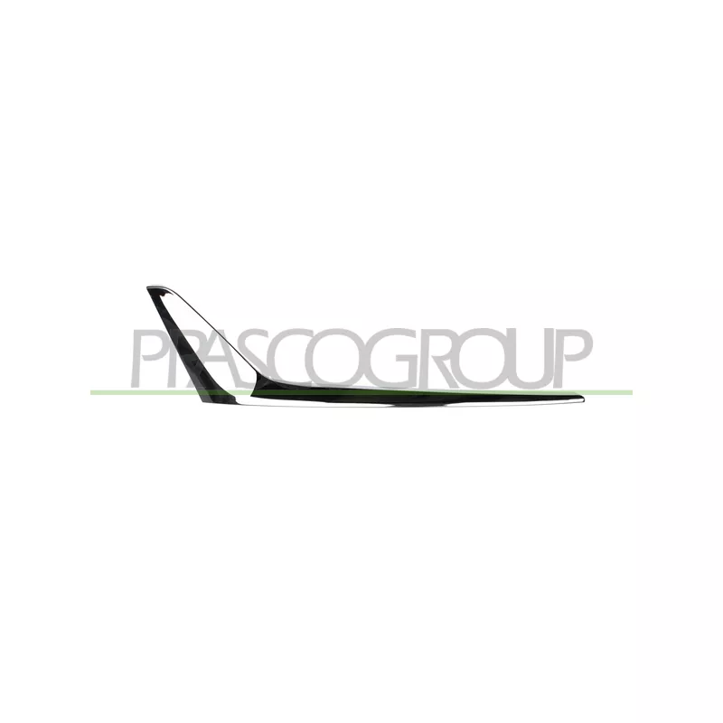 Baguette et bande protectrice, pare-chocs arrière gauche PRASCO BM0341254