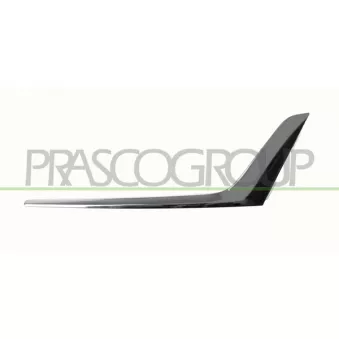 Baguette et bande protectrice, grille de radiateur avant gauche PRASCO BM0342204