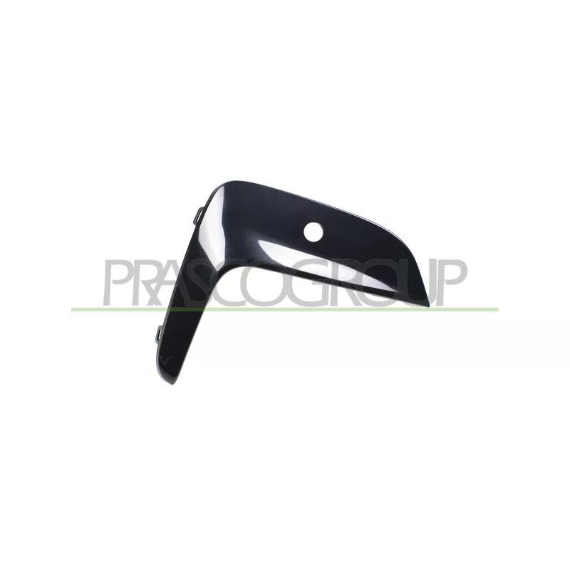 Baguette et bande protectrice, grille de radiateur avant droit PRASCO BM0351243