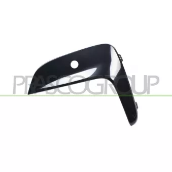 Baguette et bande protectrice, grille de radiateur avant gauche PRASCO BM0351244