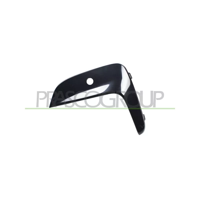 Baguette et bande protectrice, grille de radiateur avant gauche PRASCO BM0351244