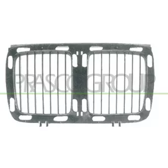 Grille de radiateur PRASCO BM0422001