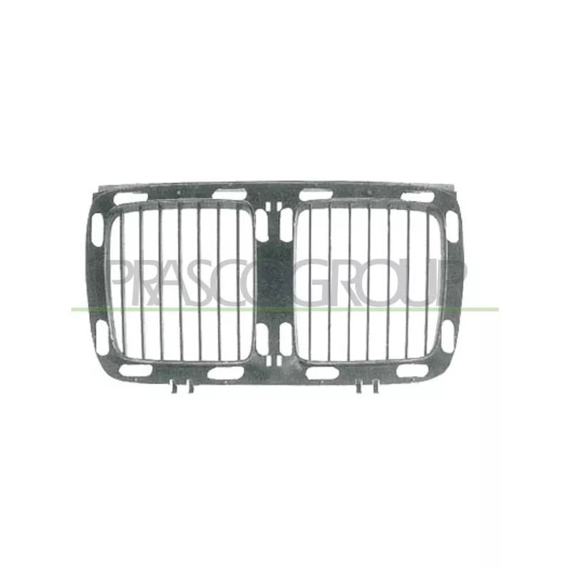 Grille de radiateur PRASCO BM0422001