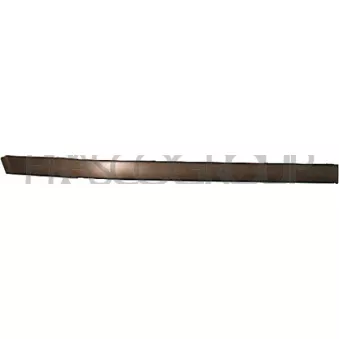 Baguette et bande protectrice, pare-chocs avant droit PRASCO BM0441243