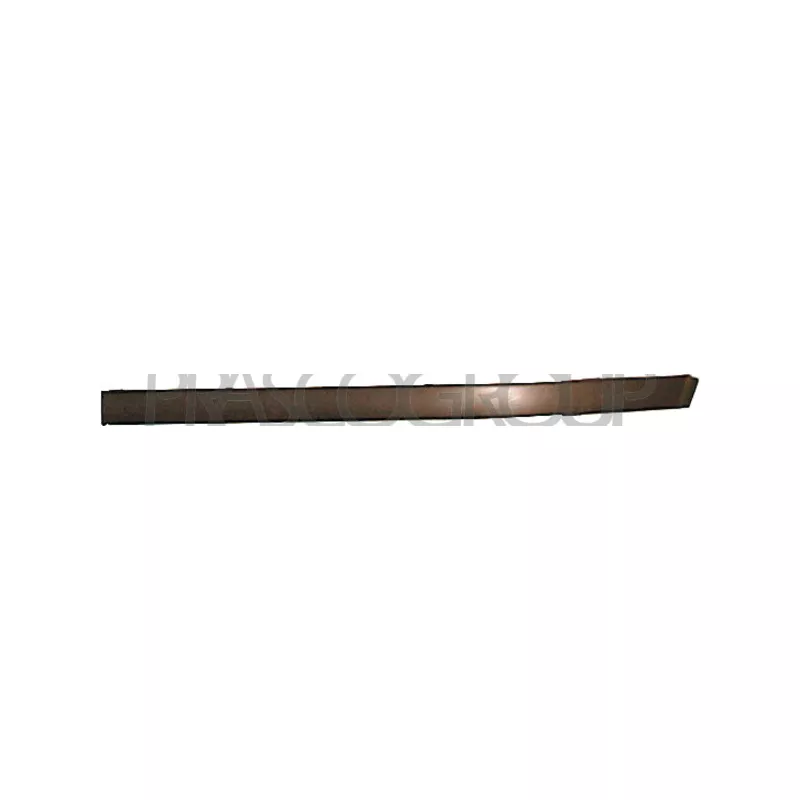 Baguette et bande protectrice, pare-chocs avant gauche PRASCO BM0441244