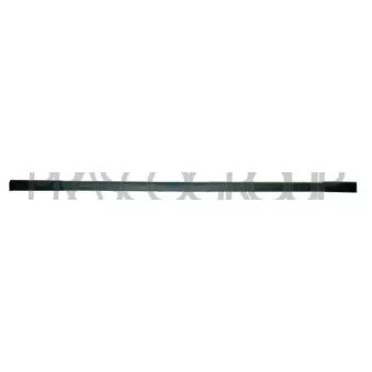 Baguette et bande protectrice, pare-chocs PRASCO BM0441255