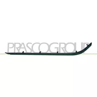 Baguette et bande protectrice, pare-chocs arrière droit PRASCO BM0441263