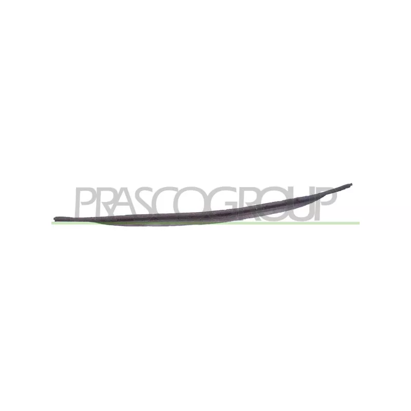 Spoiler PRASCO BM0441801