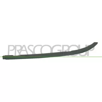 Enjoliveur, projecteur principal avant droit PRASCO