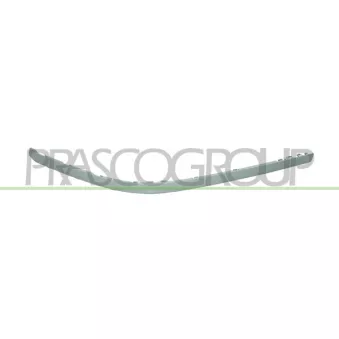 Baguette et bande protectrice, pare-chocs avant gauche PRASCO BM0451238