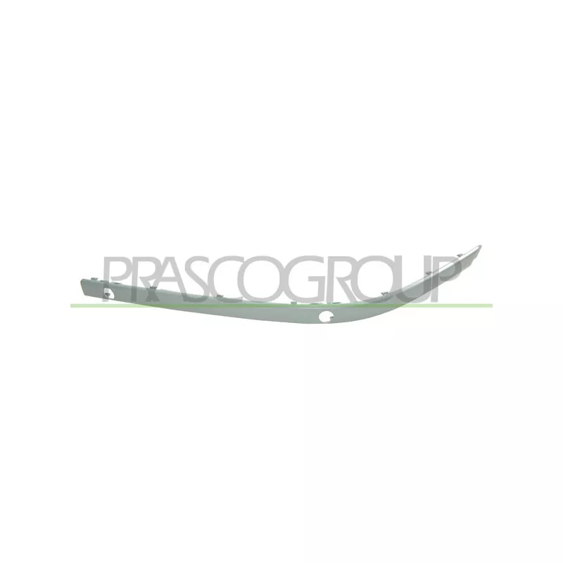 Baguette et bande protectrice, pare-chocs avant gauche PRASCO BM0451240