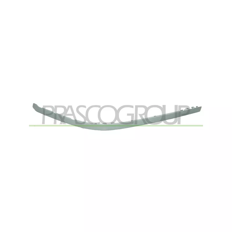 Baguette et bande protectrice, pare-chocs avant gauche PRASCO BM0451242