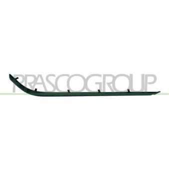 Baguette et bande protectrice, pare-chocs arrière droit PRASCO BM0451251