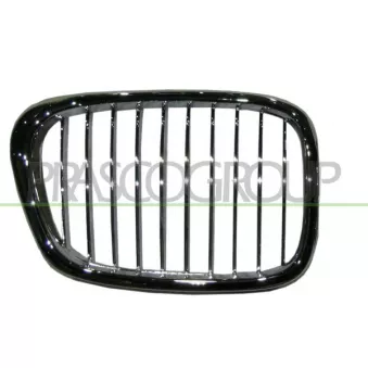 Grille de radiateur PRASCO BM0452033