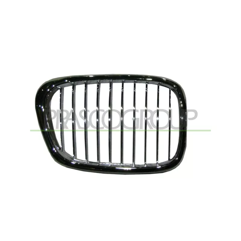 Grille de radiateur PRASCO BM0452033