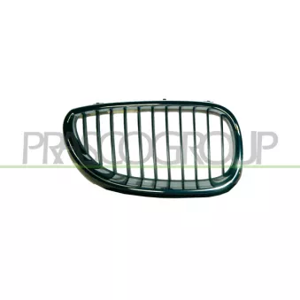 Grille de radiateur PRASCO BM0462003