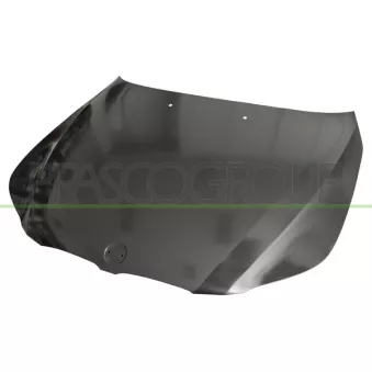 Capot-moteur PRASCO BM0463130