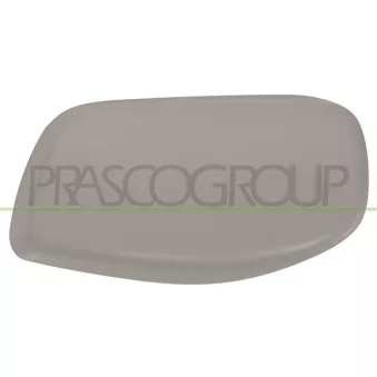 Revêtement, rétroviseur extérieur PRASCO BM0467413