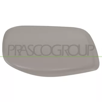 Revêtement, rétroviseur extérieur PRASCO BM0467414
