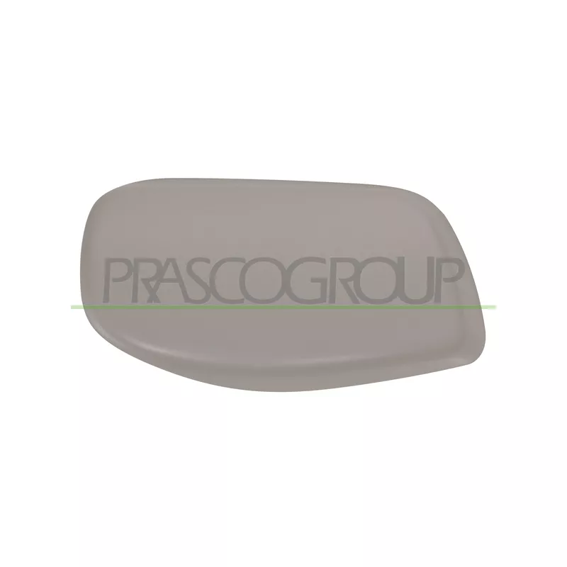 Revêtement, rétroviseur extérieur PRASCO BM0467414